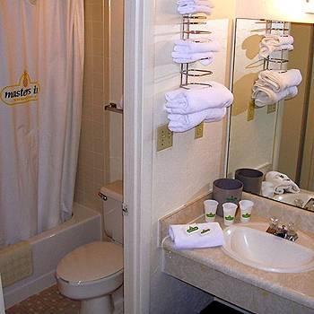 Motel 6 Columbia - University Of South Carolina ห้อง รูปภาพ